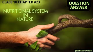 QUESTION ANSWERS CHAPTER 22 NUTRITIONAL SYSTEM IN NATURE CLASS 10 SOCIAL SCIENCE GSEB GUJARAT BOARD [upl. by Unam]