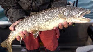 Fantastic Lake Trout Fishing In Cheboygan [upl. by Nala849]