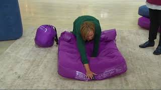 Aerobed Overnighter 8quot Twin Size Airbed with Pump on QVC [upl. by Lennod]