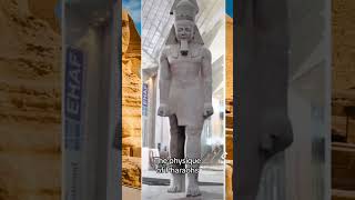 Physique of a Pharaoh clips akdadon ancientegypt [upl. by Anawat251]