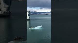 glacier lake in ❄️🇮🇸🧊shorts vlog travel iceland nature glacier [upl. by Atekihs597]