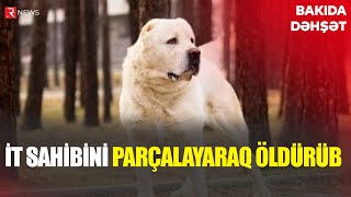 Bakıda DƏHŞƏT İt sahibini parçalayıb öldürdü  RTV [upl. by Andres]