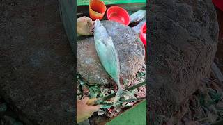 Wow Skipjack tuna fish cutting skills 🔥 shorts tunacutting [upl. by Glanville]