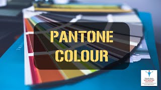 Pantone Colors  What are Pantone Colours What is the pantone colour of the year [upl. by Fein]