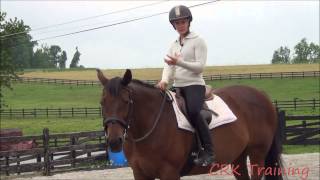 How to Move a Horses Hindquarters Under Saddle [upl. by Ika761]