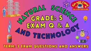 Grade 5 2024 Natural Science amp Technology Term 3 QampA  Energy and Change [upl. by Hachmann]