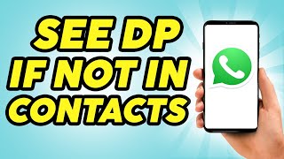 How to See Whatsapp DP if Not in Contacts  2024 [upl. by Garneau]