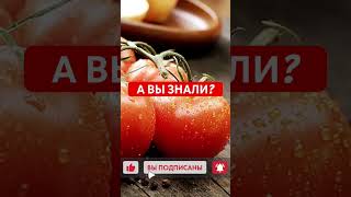 Все о помидорах Смотрите полное видео на канале [upl. by Notnroht]