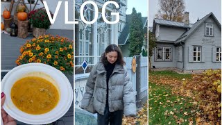 VLOG Распаковка посылки Iherb праздник урожая и еды музей Аспазии в Юрмале 🖤 [upl. by Wadell]