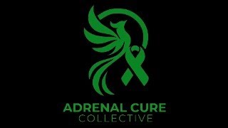 Adrenal Cancer Patient Panel November 1st 2024 Adrenal Cure Collective [upl. by Townshend]