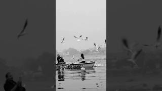 Ganges River Glimpse Peaceful boat ride on the sacred Ganges River in Varanasi India [upl. by Geesey470]