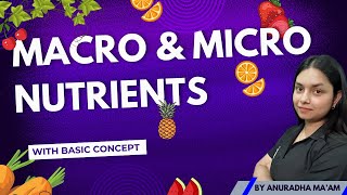 MACRO NUTRIENTS amp MICRO NUTRIENTS  Basic concept  by ThePrepZone nutrients NCERT biology [upl. by Britni]