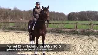 Formel Eins Training März 2015 [upl. by Ynetruoc]