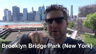 Brooklyn Bridge Park in New York City Reisequickie [upl. by Ahseekat]