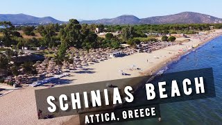 Schinias Beach by drone ATTICA  GREECE 🇬🇷 [upl. by Vladimir]