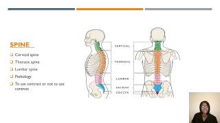 CT Spine Lesson and Anatomy Review for ARRT CT RegistryCQR [upl. by Iolande]