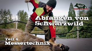 Abfangen von Schwarzwild  Teil 4 Messertechnik [upl. by Charline149]