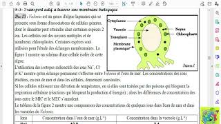 Partie 04 Absorption de leau et les sels minéraux chez les plantes chlorophylliennes [upl. by Aneek]