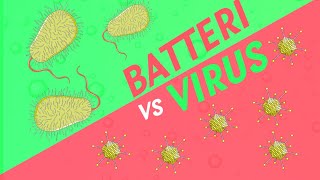 Qual è la differenza tra virus e batteri  Pillole di Scienza [upl. by Ahk]