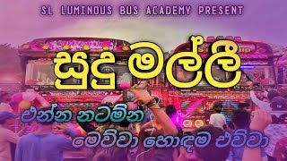 Sudu Malli dj Remix  The Best Bus Dj 2023  Sl Vip Bus King Official Video [upl. by Greenwell473]