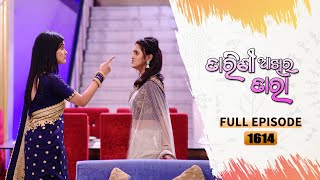 Tarini Akhira Tara  Full Ep 1614  29th April 2023  Odia Serial – TarangTV [upl. by Karena376]