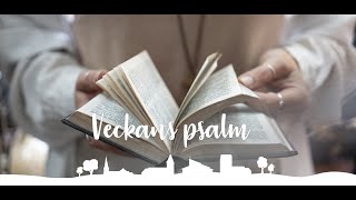 Psalm 116 Nu tändas tusen juleljus [upl. by Ahsinrat763]