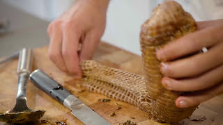 Kruidige varkensrollade met honing amp friszoete rodekool  Jumbo [upl. by Critchfield]