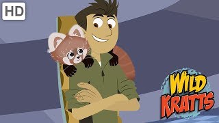 Unseen Interview with Zoboomafoo Behind the scenes of the hit 90s TV Show [upl. by Vacla]