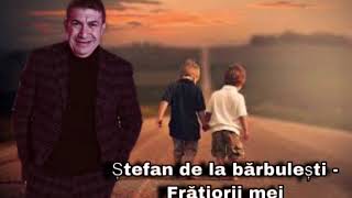 Stefan de la barbulestiniciodata un starăin [upl. by Rosa]