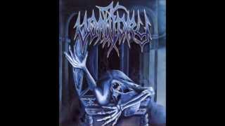 Vomitory  Redemption full album [upl. by Nylatsirk]