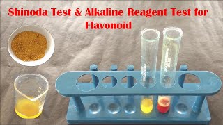 Phytochemical Test for Flavonoid  Qualitative Test for Flavonoid  फ्लावोनोइड टेस्ट कैसे करते हैं [upl. by Cowley]