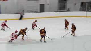 BenildeSt Margaret’s Girls Hockey Skates Past Northfield [upl. by Lerret]