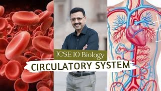 Circulatory System Part 1  Body Fluids  ICSE Biology Class 10  Explained in Hindi and English [upl. by Nemad]