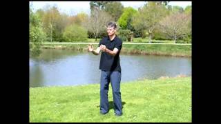 Circling Hands Qigong Qigong for Beginners [upl. by Dar876]