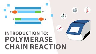 1 PCR Polymerase Chain Reaction Tutorial  An Introduction [upl. by Asiaj]