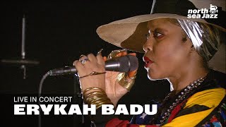 Erykah Badu  Full Concert HD  Live at North Sea Jazz Festival 2017 [upl. by Alisander123]