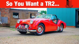 Triumph TR2 Buyers Guide  All You Need to Know On The FIRST Triumph Sports Car [upl. by Dreher]