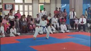 HEIAN SANDAN JKA State championship [upl. by Sardse]