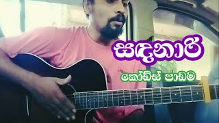 Sandanarià·ƒà¶³à¶±à·à¶»à·’  Guitar Lesson  Chords  Sinhala Guitar Lessons [upl. by Yecats205]