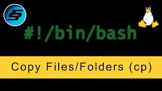 Copy FilesFolders cp  Bash Scripting [upl. by Gona]