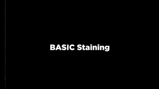 StainGlaze BSMArtamic  Basic Staining Instruction Video [upl. by Sirotek330]