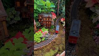 NYBG Holiday Train Show 2024✨🚂 christmas christmasinnewyork [upl. by Llennod]