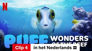 Puff Wonders of the Reef Clip 4 ondertiteld  Trailer in het Nederlands  Netflix [upl. by Kurtzig]