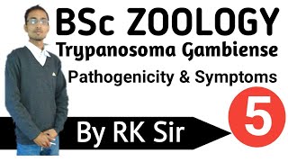 Zoology Trypanosoma Gambiense Pathogenicity and Symptoms of Trypanosoma GambienseBSc [upl. by Irtimid]