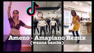 Ameno Amapiano Remix  Chill With the Big Boys  TikTok Challenge [upl. by Hedvah431]