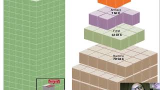 17 Allometric Scaling [upl. by Vish587]