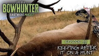 Keeping After It On A Hunt  Eastmans Life of A Bowhunter Podcast [upl. by Nagol144]