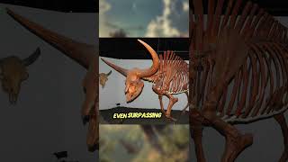 Bison latifrons  the Ancient LongHorned Bison jurassicworld fossil naturalhistory dinosaur [upl. by Asilegna]