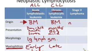 Neoplastic Lymphocytosis [upl. by Avah]