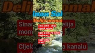 Sinan Sakić  Delija momak MATRICAshorts music cover instrumental matrices karaoke [upl. by Wareing27]